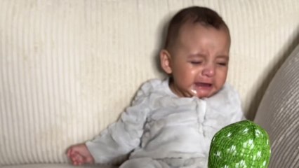 Viral dancing cactus toy interrupts baby’s tantrum as he becomes intrigued by its funny movements