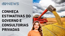 Kellen Severo: Conab projeta safra recorde de soja em 24/25