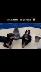 Dolphin  enjoy  with Girls