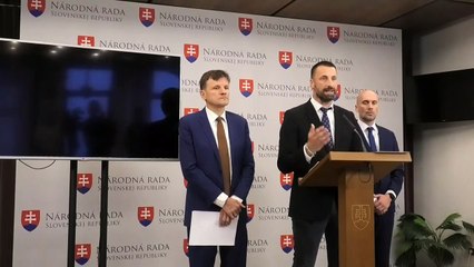 TK strany SaS v parlamente