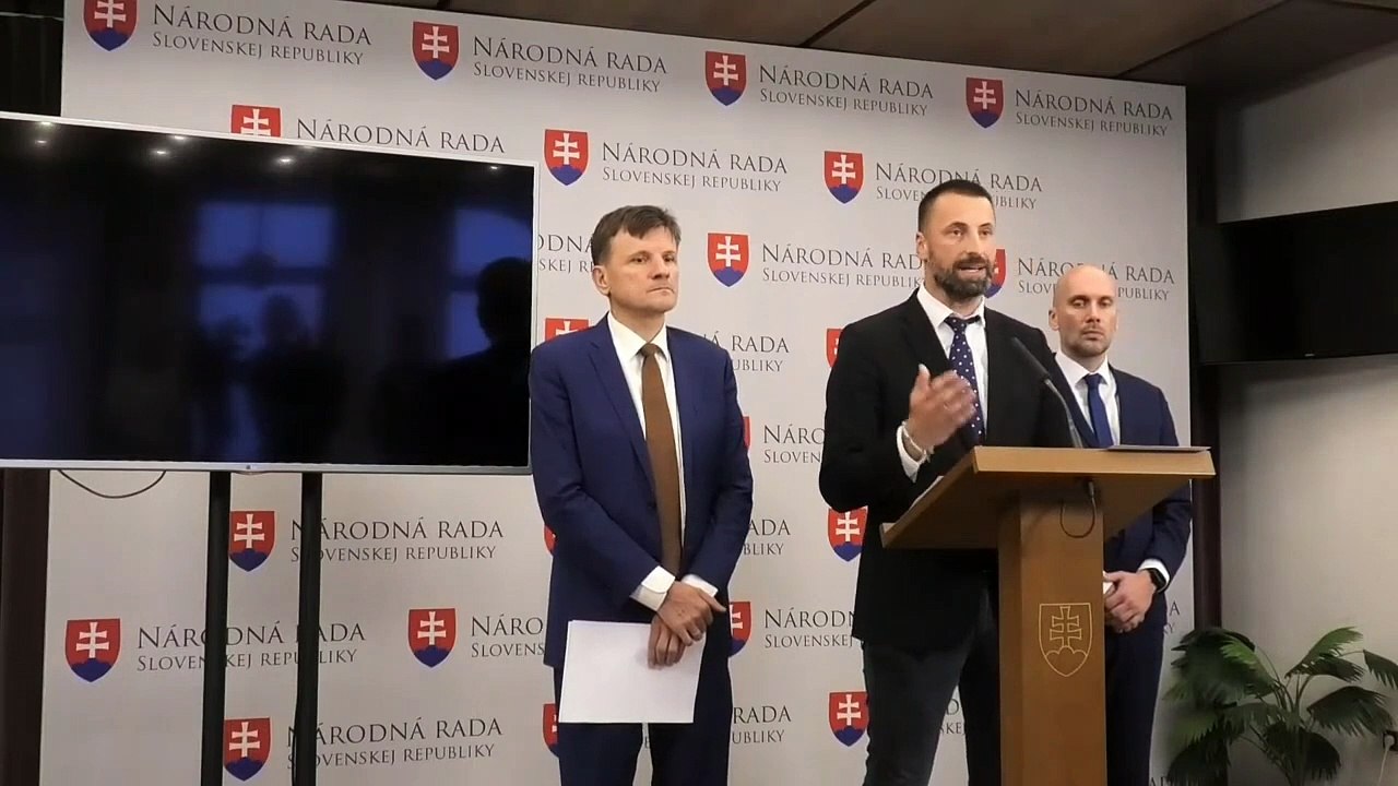 TK strany SaS v parlamente