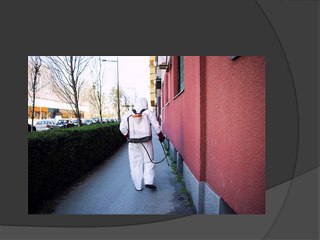 Protect Your Home with Professional Pest Control in North Shore and Northern Beaches