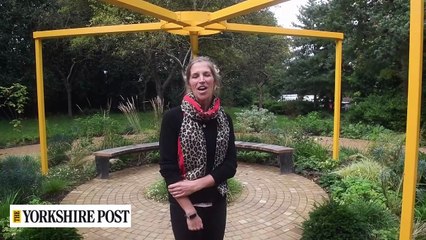 Air Ambulance Garden opens in Roundhay Park, in Leeds