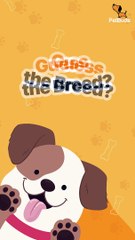 Guess the breed name