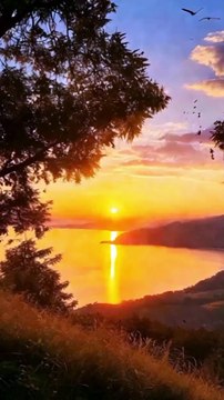 Sunset serenity capturing nature's golden hour