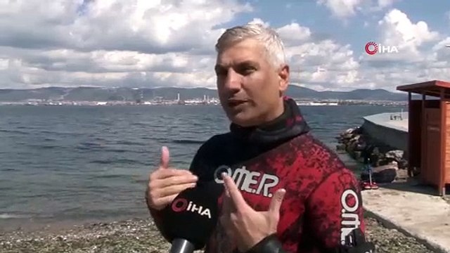 Yeni bir istilacımız daha oldu: Kuzey Kore'den İzmir'e kadar gelmiş