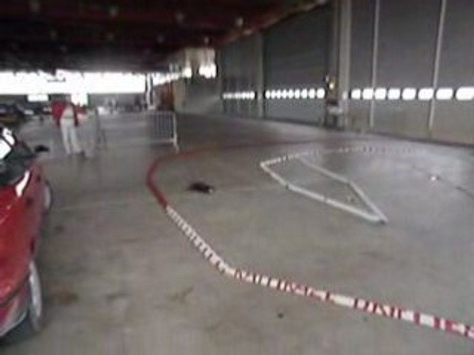 Salon du modélisme à Alès - 18 au 20 Avril 2008