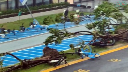 Bão Bebinca Tàn Phá Thượng Hải, Thành Phố Chìm Trong Biển Nước