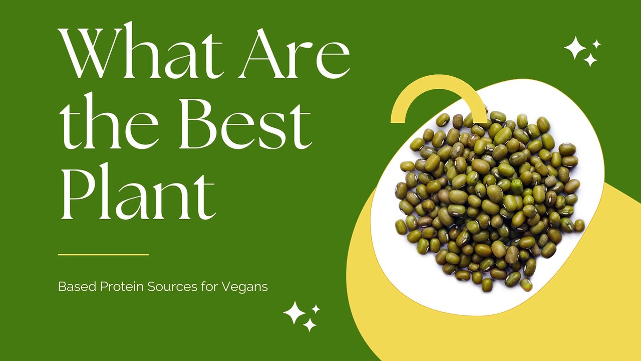 Boost Your Vegan Diet with Proeon Mung Protein Isolate and Other Top Proteins