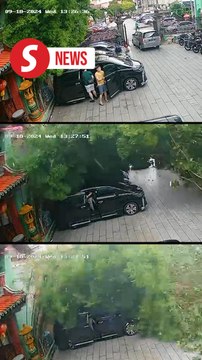 Two Chinese tourists die after tree fell onto vehicles in Penang