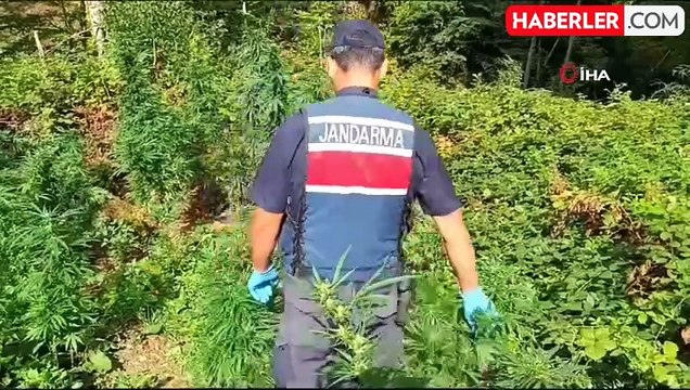 Samsun'da 7 Kilo Esrarla Yakalanan Şahıs Adliyeye Sevk Edildi