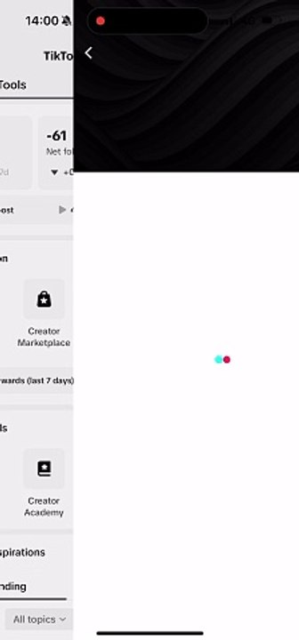 how much TikTok pay per views ??