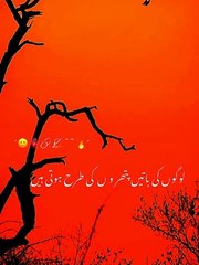 Logo ki baty pathro ki tarhan hoti h