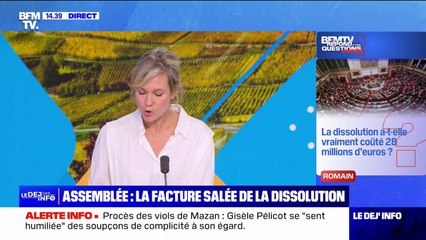 La dissolution a-t-elle vraiment coûté 28 millions d'euros? BFMTV répond à vos questions