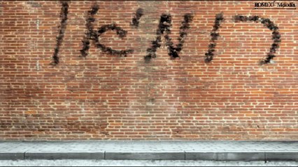 Romeo Melodía - First music animation from the official clip