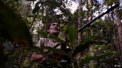 Malaysia's Indigenous Penan struggle against deforestation