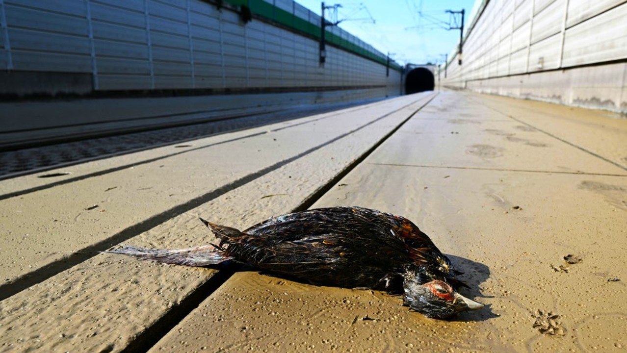 Schwere Unwetter-Schäden an der Bahn-Weststrecke