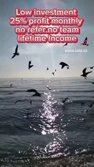 Best entertaining videos