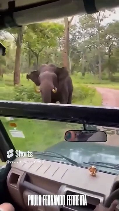 Furious
