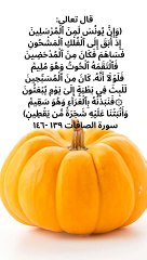 لا اله الا انت سبحانك اني كنت من الظالمين