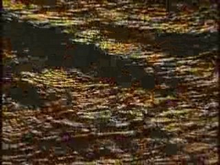 Les Pharaons du royaume de Koush