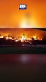 Portugal en alerta por voraces incendios