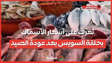 الزرقان والحارت 100 والشخرم 60 جنيه.. تعرف على أسعار الأسماك بحلقة السويس بعد عودة الصيد