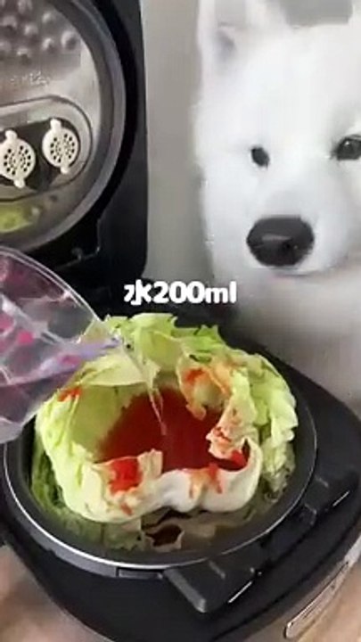 ロールキャベツつくってる間に肉球のお手入れしたらツヤツヤになりました！