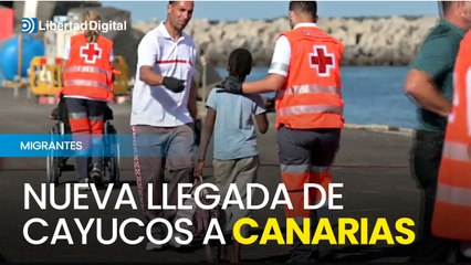 La Comisión Europea aportará 14 de millones de euros para apoyar a las islas