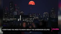 Everything You Need To Know About The Supermoon Eclipse