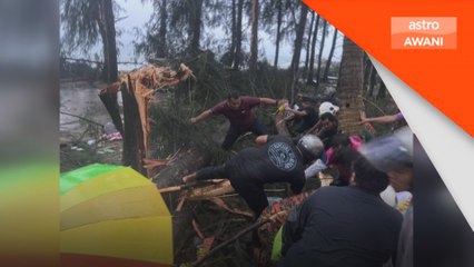 Peniaga wanita maut dihempap pokok tumbang di pantai