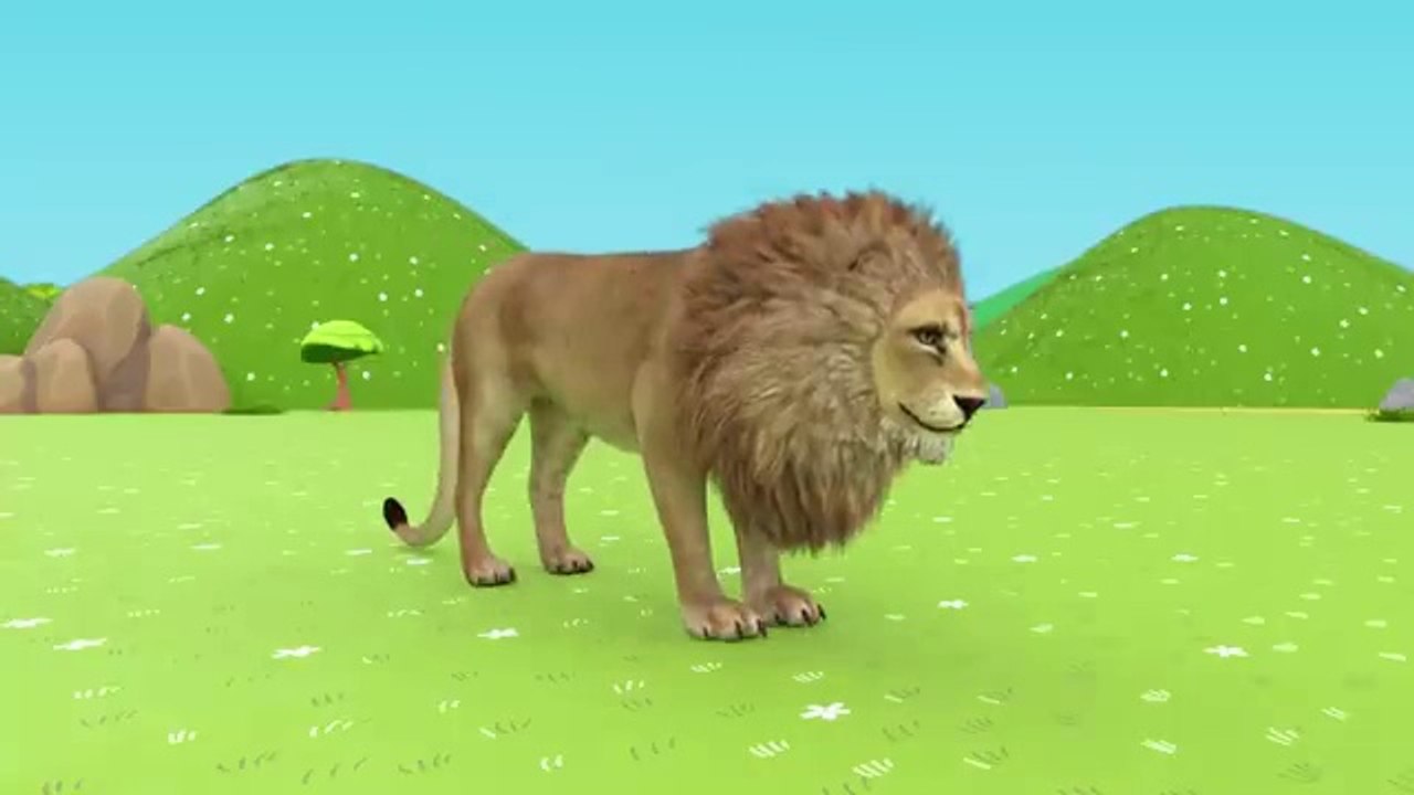 ,Lion, Gorilla, Elephant, Shark Crossing Animal Animation