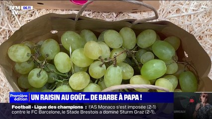 "Cotton Candy": un raisin goût barbe à papa cartonne sur les réseaux sociaux et dans les magasins
