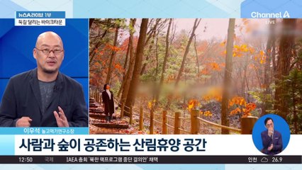 작지만 알찬 도시…충북 증평서 즐기는 가을날