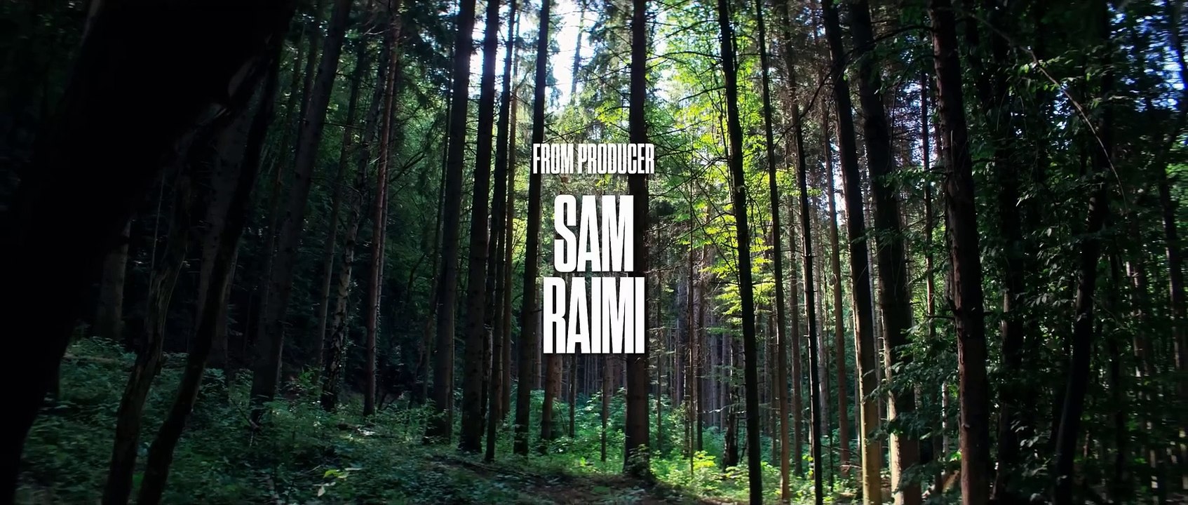 Don't Move Trailer OV