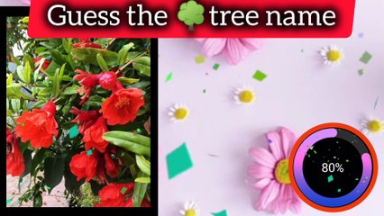 Guess the tree name, learn the tree name