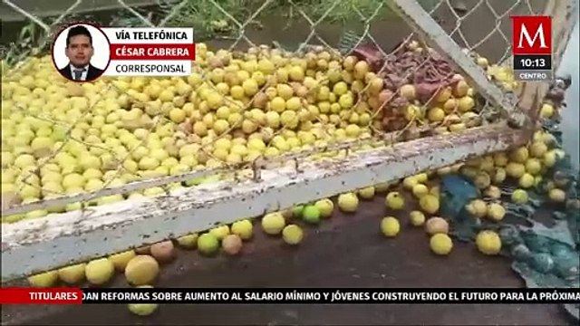 Empacadoras de limón retoman actividades en Michoacán tras amenazas del narco