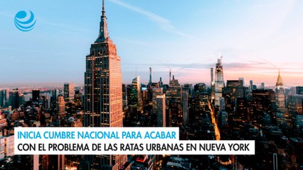 Inicia cumbre nacional para acabar con el problema de las ratas urbanas en Nueva York