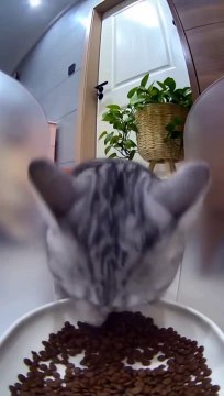 Gotta check that nobody sees me eat like a total animal