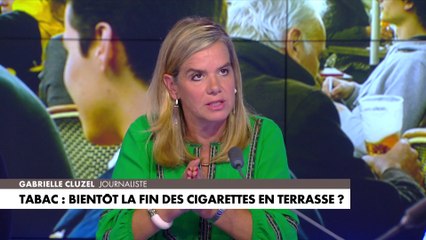 Video herunterladen: Gabrielle Cluzel, à propos d'une possible interdiction des cigarettes en terrasse : «Plus la société est démunie, plus on tape sur la tête des gens ordinaires dans leurs gestes du quotidien»