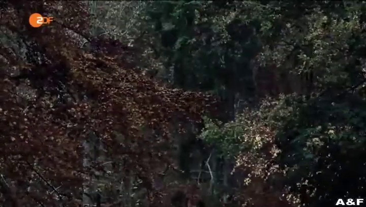 Taunuskrimi -04- Tiefe Wunden