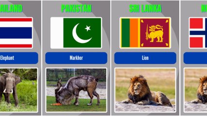 Nation-State Animals of Different Nations