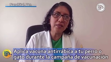 Aplica vacuna antirrábica a tu perro o gato durante la campaña de vacunación en Nanchital