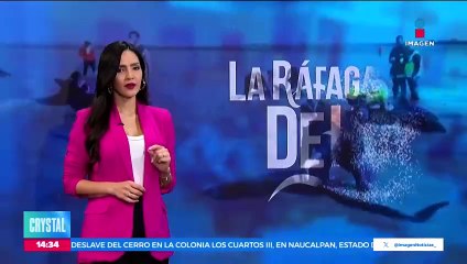 Decomisan más de una tonelada de aletas de tiburón