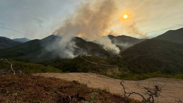 Los necesitamos en el Tolima hoy más que nunca : gobernadora al Gobierno Nacional por incendios forestales