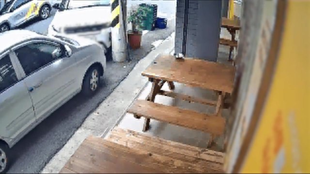 면허 취소 상태에 또 음주운전...동생 명의 도용까지 / YTN