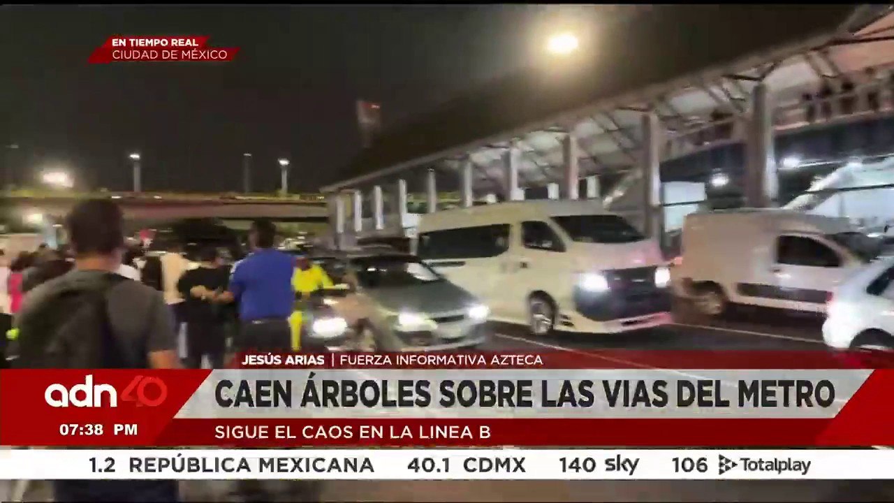 Caos vehicular tras la caída de árboles sobre las vías del Metro CDMX