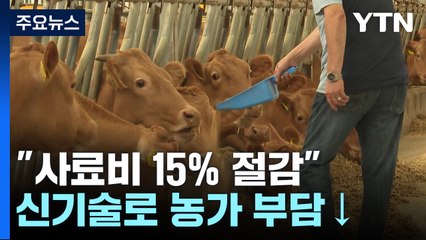 "사료비 15% 절감"...신기술로 축산 농가 부담↓ / YTN
