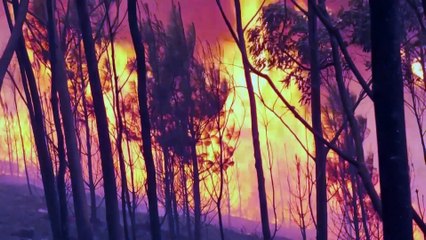 Portugal firefighters stretched to limit in battle with wildfires