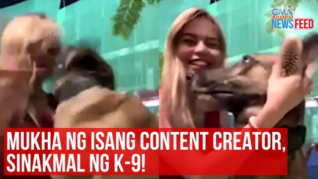 Mukha ng isang content creator, sinakmal ng K-9! | GMA Integrated Newsfeed